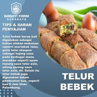Gambar Telur Bebek / Telur Asin Matang / Telur Asin Asap dari Babay Farm Surabaya undefined 3 Tokopedia
