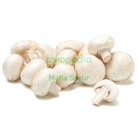 Gambar JAMUR CHAMPIGNON PACK / JAMUR KANCING / MUSHROOM / FRESH VEGETABLE - 1 Pack dari Mafia Sayur undefined 2 Tokopedia