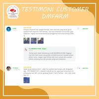 Gambar IKAN MAS KOKI DEMEKIN CALICO SIZE 9-10 CM PILIHAN ASLI GARANSI dari DELIMAMERAHFARM STORE undefined 4 Tokopedia