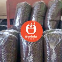 Gambar Pupuk kandang kohe kambing murni halus fermentasi organik Netto: 1 Kg dari Botania Raya undefined 4 Tokopedia