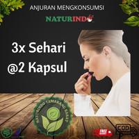 Gambar Vitamin Nutrisi Otak Anak Obat Herbal Penambah Daya Ingat Kecerdasan - BRAINOVIT dari Herbalist Naturindo undefined 2 Tokopedia
