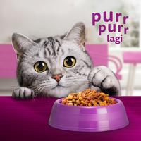Gambar WHISKAS Makanan Kucing Kering Junior 1.1kg dari Whiskas Indonesia undefined 2 Tokopedia