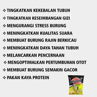 Gambar PAKAN MAKANAN BURUNG PLECI CIBLEK DLL VOER PUR MADU HALUS PLUS LEOPARD dari Lovely Shop INA undefined 2 Tokopedia