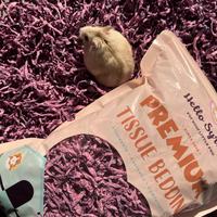 Gambar Premium Tissue Bedding / Tissue Bedding Hamster - Dream Purple dari Hamppiness undefined 2 Tokopedia