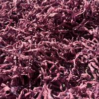 Gambar Premium Tissue Bedding / Tissue Bedding Hamster - Dream Purple dari Hamppiness undefined 4 Tokopedia