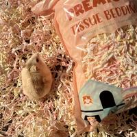 Gambar Premium Tissue Bedding / Tissue Bedding Hamster - Marshmallow Fantasy dari Hamppiness undefined 1 Tokopedia