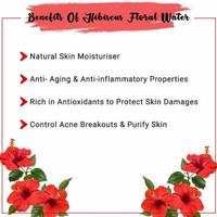 Gambar Hibiscus Hydrosol 50 ml/Rosella Flower Water/Cosmetic Grade dari Syah-House undefined 1 Tokopedia