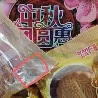 Gambar Kue Bulan / Moon Cake WANGLAI (HALAL 100%) - Kacang Hijau dari ps cemilan_NEW undefined 5 Tokopedia