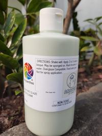 Gambar Chrysanthos Clear Transparent Glaze / Glasir Transparan 500 mL (Brush) dari Anatoly Art Supplies undefined 3 Tokopedia