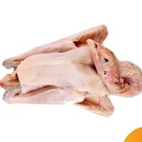 Gambar ayam kampung segar halal 900 gram dari pasarbadungonline undefined 3 Tokopedia