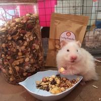 Gambar Seedmix Makanan Hamster - Tanpa ulet dari Luckyhamsterpku undefined 4 Tokopedia