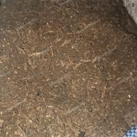 Gambar MEDIA TANAM METAM TANAH KOMPOS SUBUR TANAMAN 1KG READY SAMARINDA tana man dari Fitrijaya354 undefined 1 Tokopedia
