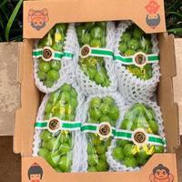Gambar buah anggur hijau Muscat manis size jumbo - /ds 8pc X 500gr dari Toko buah Riansyah undefined 2 Tokopedia