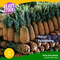 Gambar Nanas Palembang/Kediri Utuh dari Rumah Buah Bandung undefined 2 Tokopedia