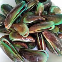 Gambar KERANG HIJAU 1kg dari Kulak ikan undefined 1 Tokopedia