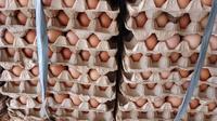 Gambar Telur Ayam Negeri Segar 30 Butir ( 1 Tray ) / Telor Ayam Premium dari ANTIQUEKU undefined 2 Tokopedia