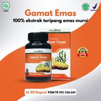 Gambar Gamat Emas kapsul Ekstrak Teripang Emas Pilihan 100% Original Asli dari herbal melayu deli undefined 1 Tokopedia