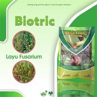 Gambar Obat Fungisida Organik Atasi Layu Fusarium/Busuk Akar/Trichoderma - 250 gr dari Putra Agro Lestari undefined 4 Tokopedia