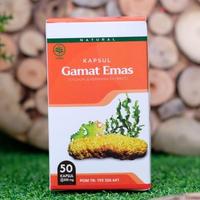 Gambar Gamat Emas kapsul Ekstrak Teripang Emas Pilihan 100% Original Asli dari herbal melayu deli undefined 3 Tokopedia