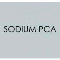 Gambar Sodium PCA 20gr/Vegetable Besed/Natural Humectant/Natural Moisturizer dari Syah express undefined 1 Tokopedia