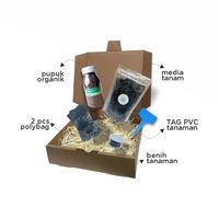 Gambar Paket Langsung Tanam - Gardening Kit - Benih Bunga Gazania Mixed dari Anak Pohon undefined 2 Tokopedia