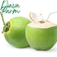 Gambar Kelapa muda segar utuh | Air kelapa degan dari Herbaflow Indonesia undefined 2 Tokopedia