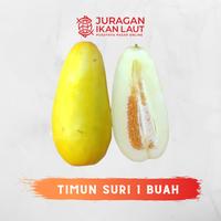 Gambar Buah Timun Suri Segar Fresh Berkualitas - 1 Buah dari JURAGAN IKAN LAUT undefined 1 Tokopedia