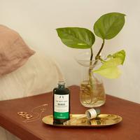 Gambar The Body Shop EDELWEISS CONCENTRATE SERUM 50ML dari SEV Citra undefined 2 Tokopedia
