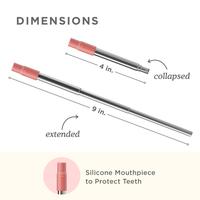 Gambar Zoku Two Tone Pocket Straw - Sedotan Aluminium, Sedotan Reusable - Grey dari Tosyen Okiedog undefined 5 Tokopedia