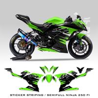 Gambar DECAL NINJA 250 FI OLD / STRIPING MOTOR NINJA FI 250 / STIKER VARIASI - Merah dari DKHI STICKER undefined 3 Tokopedia