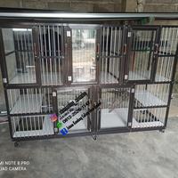Gambar KANDANG KUCING 5 KAMAR dari CALISTA OFFICIAL SHOP undefined 1 Tokopedia