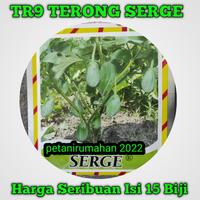 Gambar BIJI BENIH BIBIT TERONG PONDOH KECIL SERGE HIJAU dari petanirumahan undefined 2 Tokopedia