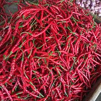 Gambar Cabe Cabai Merah Keriting Lokal 1 Kg - Segar setiap hari - 250 gr dari FDG BGR undefined 2 Tokopedia