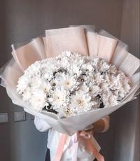 Gambar The Hanna Florist - Jumbo Aster Bouquet Buket Bunga Wisuda Ultah Nikah dari The Hanna Florist undefined 1 Tokopedia