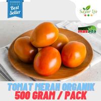 Gambar Tomat Merah Organik Masada 500 Gram/Pack Fresh Tomato Buah Sayur Segar dari Sayur Ijo Jakarta undefined 1 Tokopedia