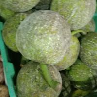 Gambar sayur sukun buah dari Samudrapasar undefined 1 Tokopedia