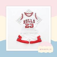 Gambar Setelan Jersey Baju Celana Basket Jordan Anak Bayi Cowok Laki Cewek - 13 - 18 bulan dari TRIBUTE.ID undefined 2 Tokopedia