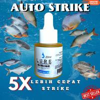 Gambar LURE Essen jahat premium umpan pancing semua ikan air tawar Mancing Lele Patin Bawal tombro ikan mas dari Saplo19 undefined 1 Tokopedia