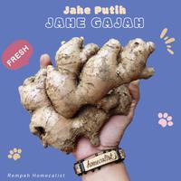 Gambar jahe gajah 1 kg super / Jahe Putih Lokal dari Rempah homecalist undefined 1 Tokopedia