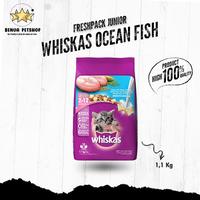 Gambar Makanan Kucing kering murah WHISKAS JUNIOR 1,1kg All Varian - JUNIOR MACKAREL dari Benua Petshop undefined 3 Tokopedia
