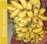 Gambar Buah Pisang Lampung Segar - Pisang Muli Fresh | 1 Tandan [ Harga Per TDN ] dari Centre Foods Jakarta undefined 1 Tokopedia