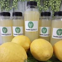 Gambar Lemon Beku 500ml - 250ml dari Good4uptk undefined 1 Tokopedia