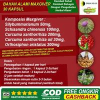 Gambar Obat Herbal Liver, Hepatitis A B C D E, Ginjal, Detox Maxgiver 30 Kpsl dari Lucia Herbal undefined 4 Tokopedia
