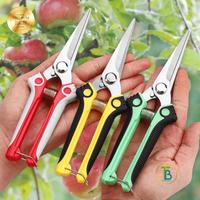 Gambar Gunting Pruning Bonsai Buah Bunga Daun Pruning Shears Lancip LT-V9 - Merah dari TerimaBeresFarm undefined 1 Tokopedia