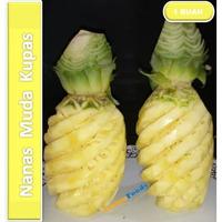 Gambar Buah Nanas Muda Kupas Segar - Nanas Rujak Sayur Kupasan Fresh | 1 Buah [ Harga Per PCS ] dari Centre Foods Jakarta undefined 1 Tokopedia