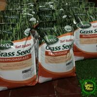 Gambar Benih Bermuda Grass dari HMP Environmental Servic undefined 3 Tokopedia