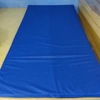 Gambar matras ortopedi (terapi tulang, saraf terjepit) dari Toko Busa Sinar Jaya undefined 1 Tokopedia