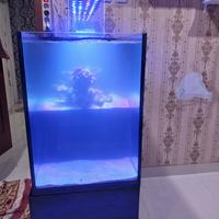 Gambar Drop Tank Marine Aquarium Laut Marine tank dari King_Store_21 undefined 3 Tokopedia