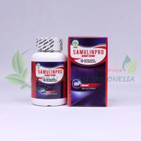 Gambar Samulinpro Sehat Sendi - New Walatra Sehat Sendi - Obat Radang Sendi dari Herbal Bekasi Indonesia undefined 5 Tokopedia
