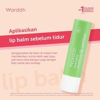 Gambar WARDAH Everyday Fruity Sheer Lip Balm Stick - grape dari NECA Skincare undefined 4 Tokopedia